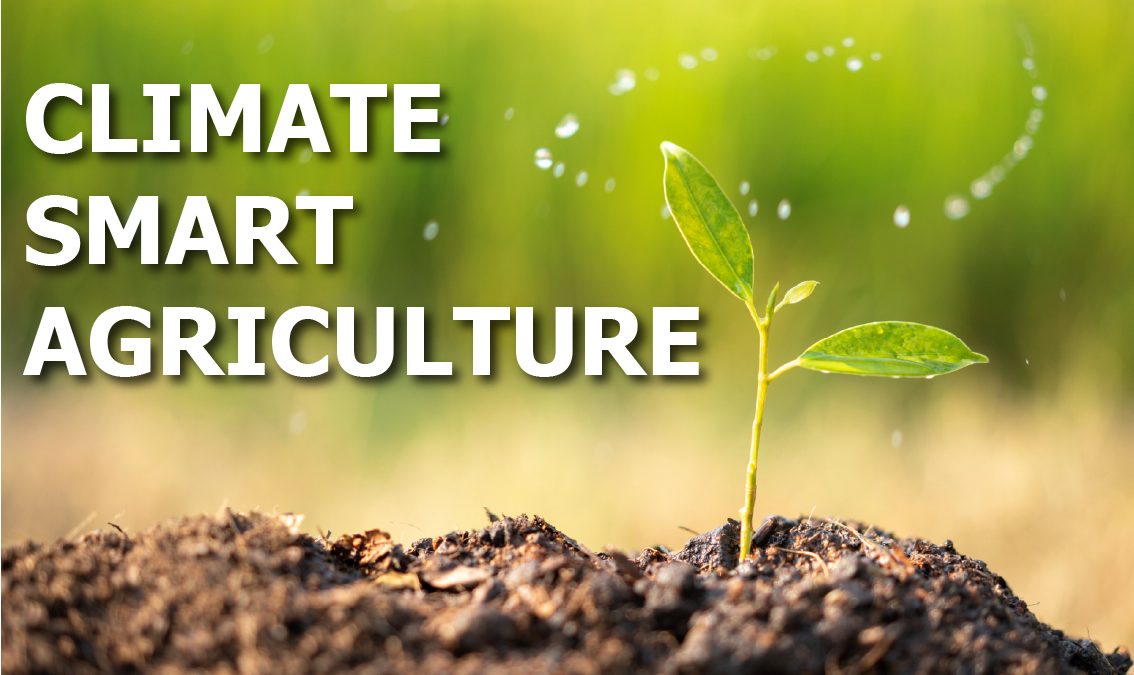 Climate Smart Agriculture CSA_101