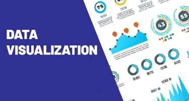 Data Visualization (Base Course) CS_DV_002